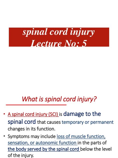 Spinal Cord Injury Lecture No 5 Pdf Spinal Cord Injury