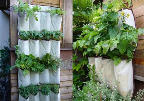 Extraordinary Diy Vertical Garden Design Ideas