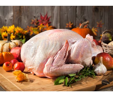 thanksgiving turkey preparation safe thawing basics momtrends