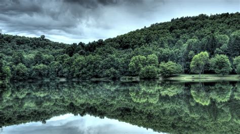 Wallpaper Trees Landscape Forest Lake Reflection Grass Sky
