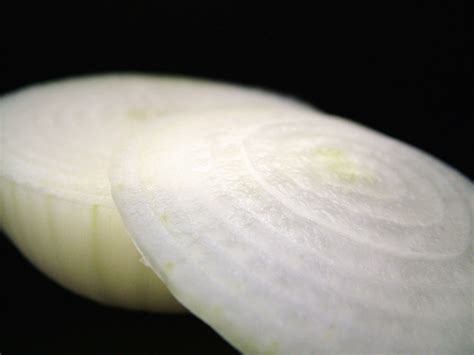 Cebolla Allium Cepa Toda La Informaci N En Cebolla El Blog