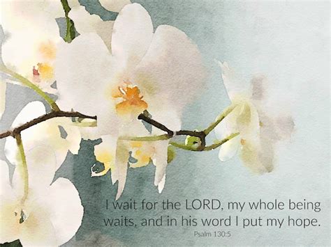 Maybe you would like to learn more about one of these? I Wait for the Lord | Grateful Prayer | Thankful Heart