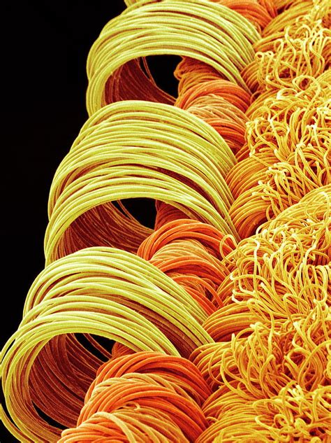 Synthetic Fibres Photograph By Susumu Nishinagascience Photo Library
