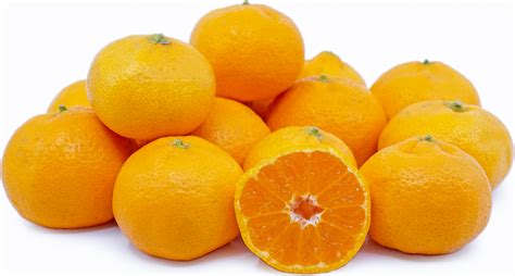 Satsuma Tangerines Information, Recipes and Facts