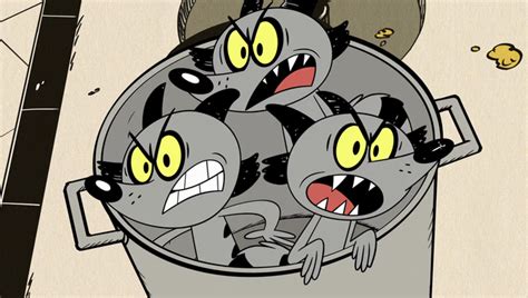 Image S2e10a Raccoons In The Potpng The Loud House Encyclopedia