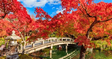 2021 Edition 10 Reasons To Visit Japan In Autumn Tsunagu Japan