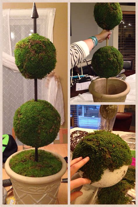Pin By Nicole Millet On My Creations Topiary Diy Topiary Topiary Trees