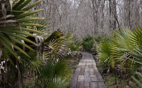 Jean Lafitte National Historical Park Preserve Outdoor Project