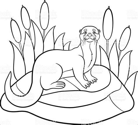 Otter Coloring Pages Coloringbay