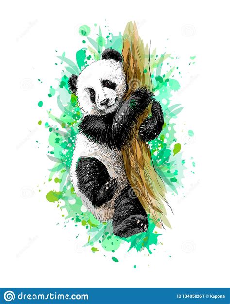 Panda Baby Cub Sitting On A Tree From A Splash Of Watercolor Stock