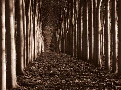 30 Beautiful Examples Of Sepia Photography Psdfan