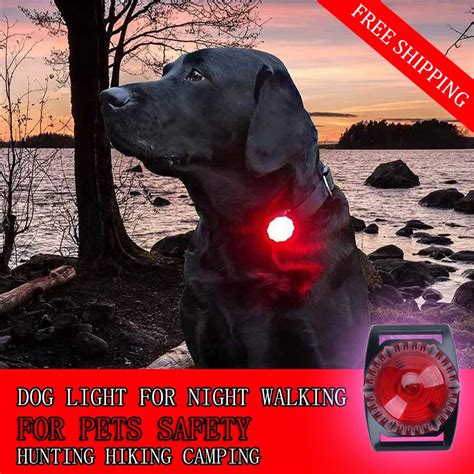 Buy Led Dog Collar Light Flash Light In Dark Night Pet