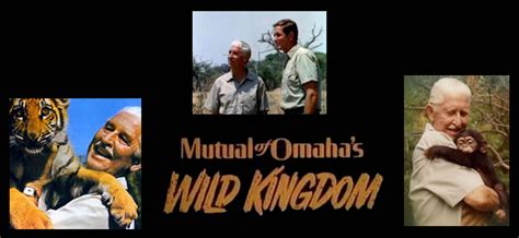 Mutual Of Omahas Wild Kingdom 50 Years Of Adventure In