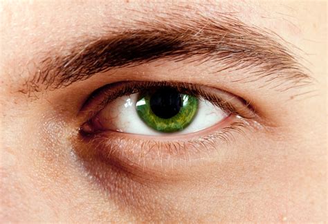 Green Eyes Learn Why People Who Have Them Are So Unique Guy Counseling