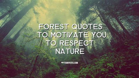 2021 Best Forest Quotes And Forests Day Sayings Yourfates