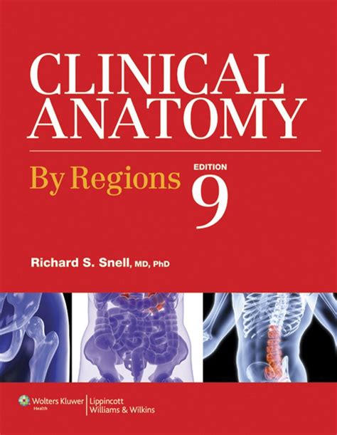 Clinical Anatomy By Regions 9th Edition Ebook In 2021 Pharmacy