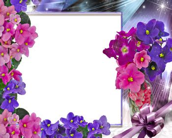 Surround your photos with flowers. flowers for flower lovers.: Flowers photo frames ideas.