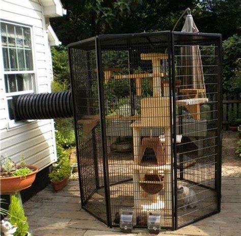 The outdoor cat enclosure offers the. Outdoor Cat Enclosures | Home Design, Garden ...