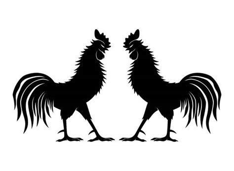 Cartoon Of A Fighting Rooster Illustrations Royalty Free Vector