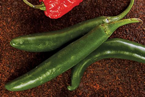 Chili Peppers Are Hot Stuff Food And Nutrition Magazine