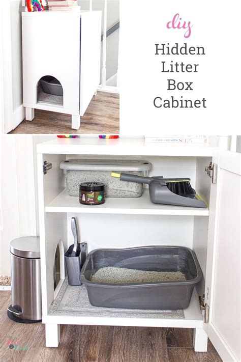 I took him to the vet because of this (and a few other things) and they did an entire senior cat panel on him. Easy and Cheap Dog Houses | Diy litter box, Hiding cat litter box, Litter box furniture