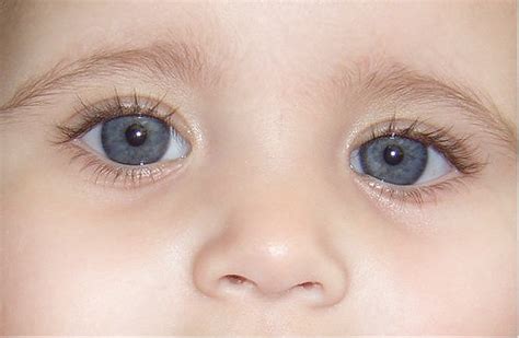 Blue Eyes Lebanese Baby Flickr Photo Sharing