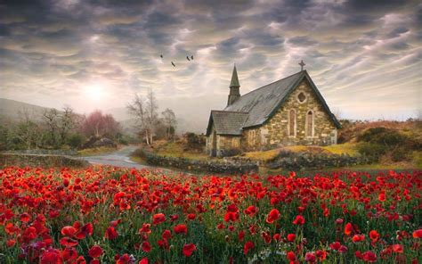Presenting spring in ireland, in pictures. Sacred Poppies Ireland Spring Clouds Church Old Road Trees ...