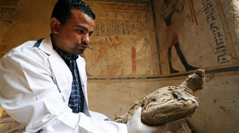 experts crack mystery of ancient egypt s sacred bird mummies