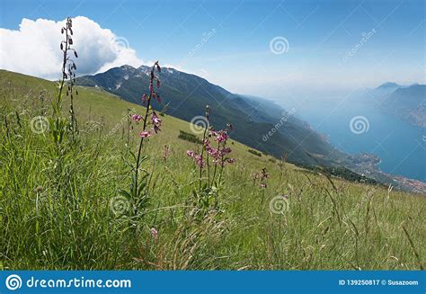 Breathtaking View From Monte Baldo Mountain To Garda Lake Stock Image