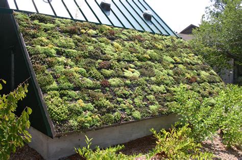 How To Install A Green Roof Simple Guide To A Green Roof