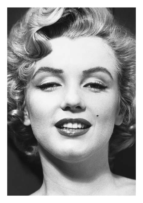 Marilyn Monroe Marilyn Monroe Portrait Portrait Marilyn Monroe Photos