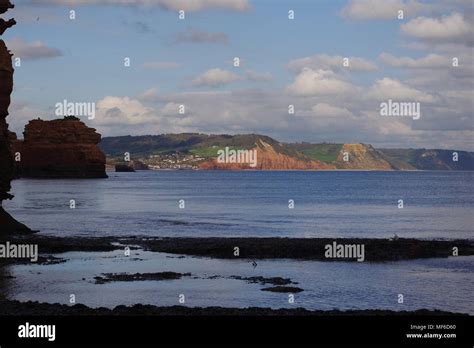 Sidmouth Town And Red Otter Sandstone Geology Of The Jurassic Coast