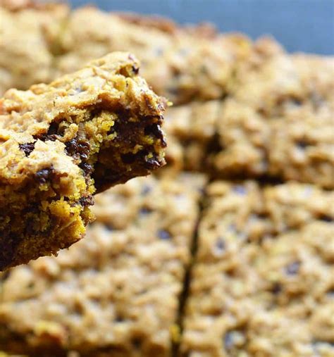 Maybe you would like to learn more about one of these? Vegan Pumpkin Chocolate Chip Oatmeal Bars - Living Vegan