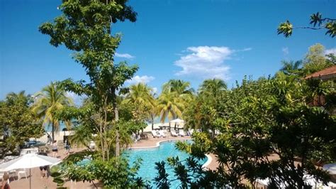 Couples Swept Away Negril Jamaica Resort All Inclusive Reviews