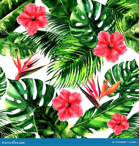 Tropical Pattern With Monstera Leaf Palm Leaves Bird Of Paradise