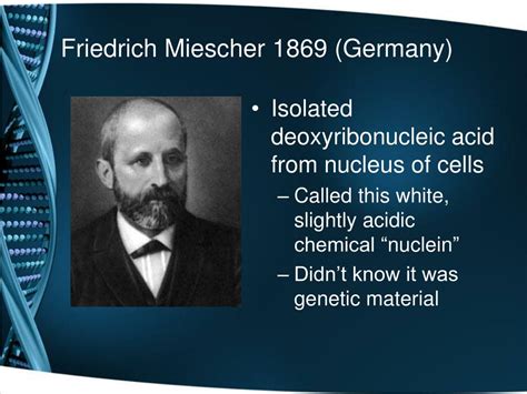 Which Important Property Of Dna Did Friedrich Miescher Discover Property Lwm