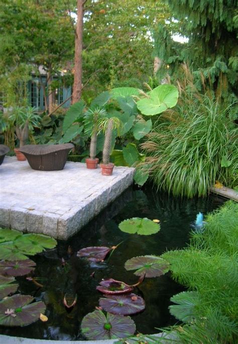 Pin By Kyla Mortek On Exteriors Tropical Garden Koi Pond Ideas