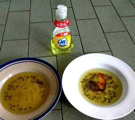 Jika kamu memakai komputer, jangan lupa gunakan. Tak Perlu Beli Racun Penyembur Sebab Cara Ni Bantu ...