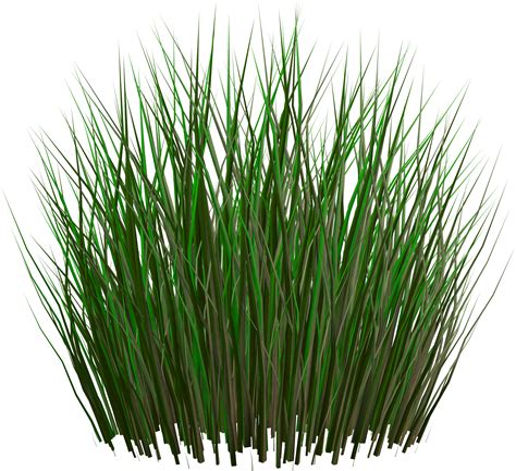 3d Grass Png PNG Image Collection