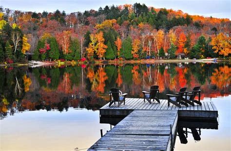 Wistfully Country Lake Ontario Fall Foliage Scenery