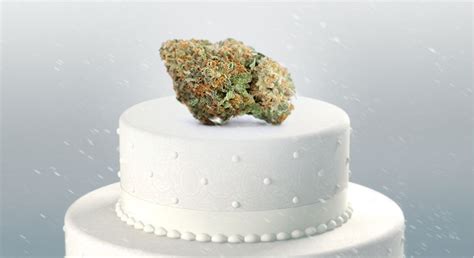 Wedding cake, also known as pink cookies, is a rare phenotype created by seed junky genetics when the breeder crossed a mother triangle wedding cake took home 1st prize for best hybrid flower at the 2018 socal high times medical cannabis cup, among its many awards since origination. What Is "Wedding Cake" Weed and What Makes This Strain So ...