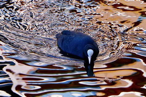 Home - Grief Support