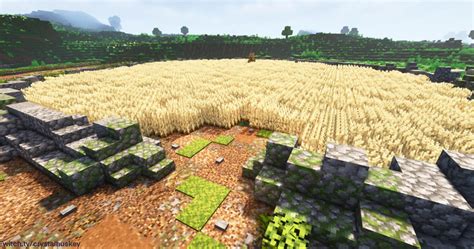Wheat Farm On My Solo World Rminecraft