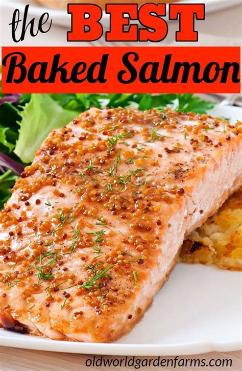 The Best Baked Salmon Recipe With An Amazing Glaze Recipe Baked Salmon Recipes Salmon