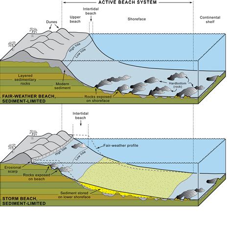Schematic Cross Section Through The Sedimentary Seque
