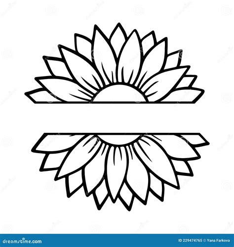 Sunflower Split Monogram Flower Silhouette Vector Illustration Stock