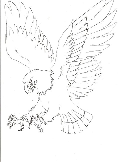 Flying Eagle Pencil Drawing At Getdrawings Free Download