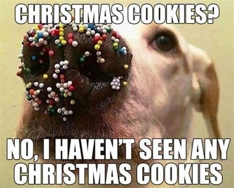 Find the newest christmas cookie meme. 87 Funny Christmas Memes That Put the "Merry" Back into ...