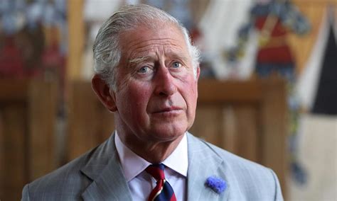 Prince Charles highlights distress on the arts | International