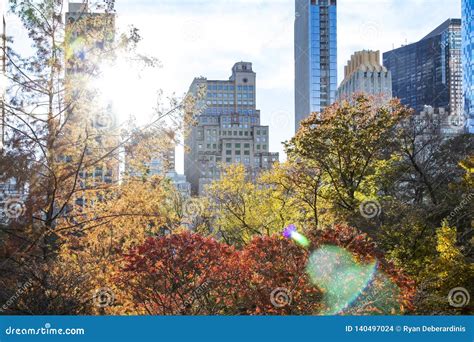 Colorful Trees Of Central Park In Fall With The Skyline Buildings In